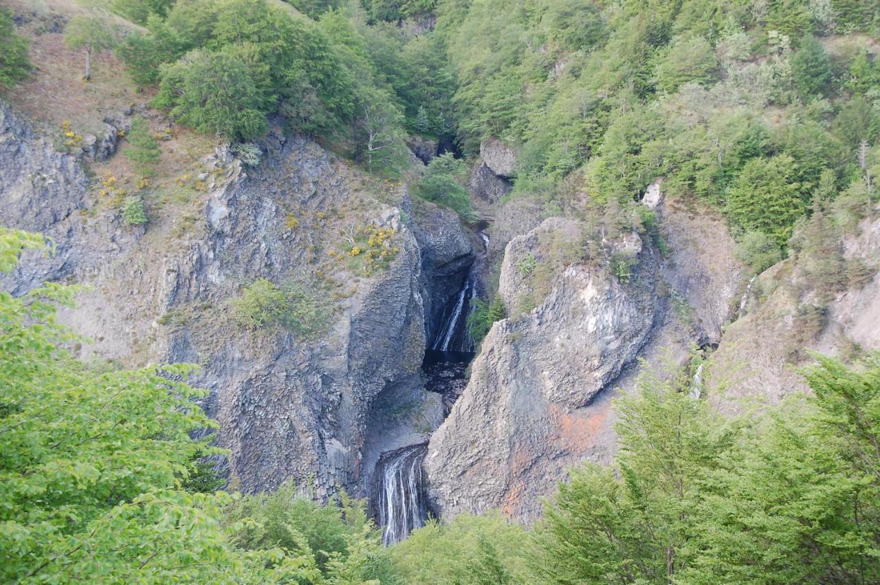 Hotel Des Cevennes Mezilhac ภายนอก รูปภาพ